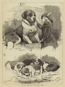 Mostra canina del Club di San Bernardo da Charles Burton